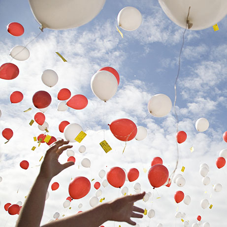 Activiteiten Nederland