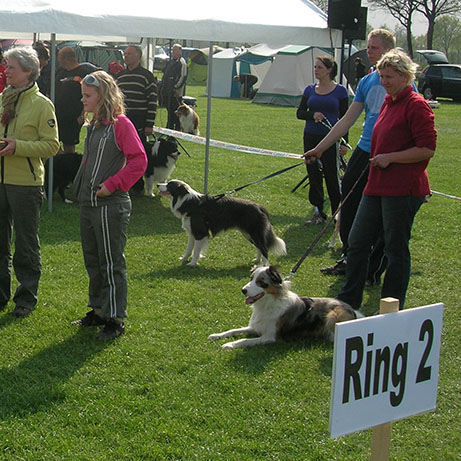 Activiteiten Nederland