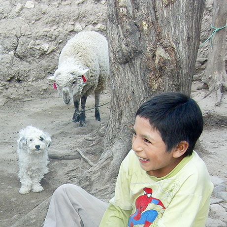 Kinderen van de Zon - Ayacucho