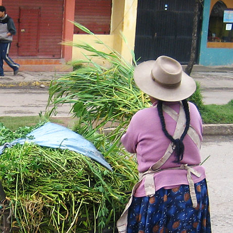 Kinderen van de Zon - Context