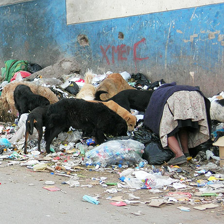 Kinderen van de Zon - Context