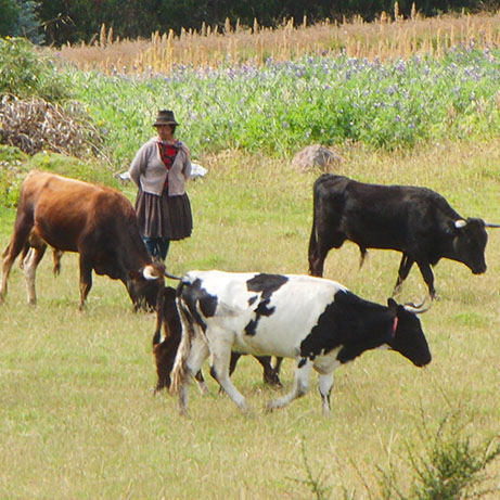 Kinderen van de Zon - Context